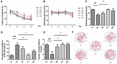 Exercise Attenuates Brain Aging by Rescuing Down-Regulated Wnt/β-Catenin Signaling in Aged Rats